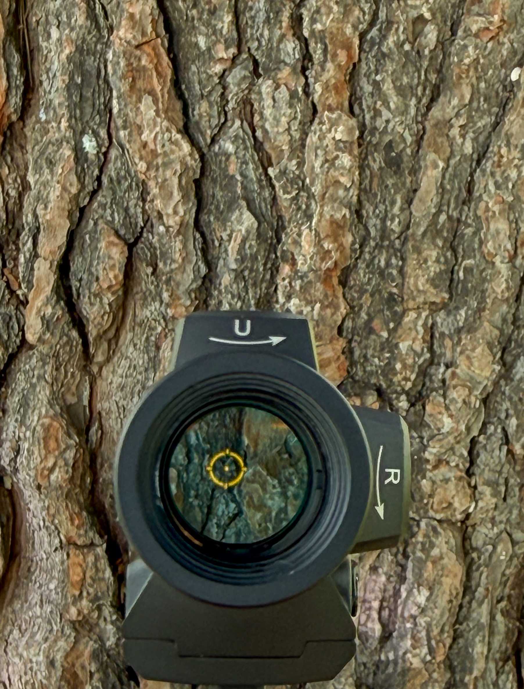 Gold dot sight